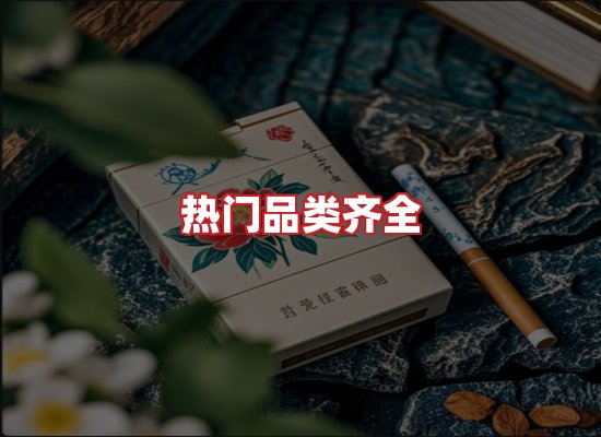 专业团队